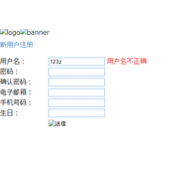 JavaScript正则表达式实现注册信息校验功能
