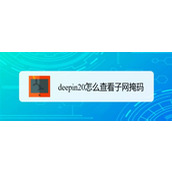 deepin20子网掩码在哪? deepin查看子网掩码的技巧