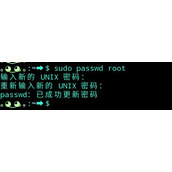 deepin linux怎么切换到root权限? Deepin切换root用户的技巧