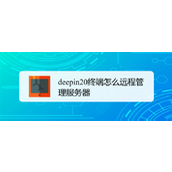 deepin20终端远程管理服务器的方法