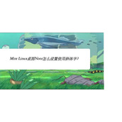 Linux Mint系统桌面Note可以用斜体字吗?