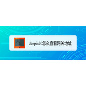 deepin20网关地址怎么设置? deepin修改网关地址的方法