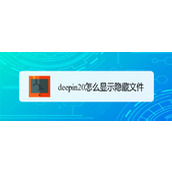 deepin20隐藏文件怎么取消隐藏? deepin显示隐藏文件的方法