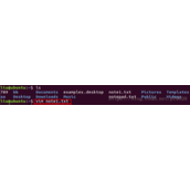 linux下文本编辑器vim的使用方法(复制、粘贴、替换、行号、撤销、多文件操作)