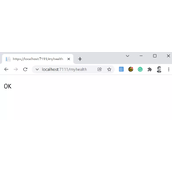 在.NET 6.0中自定义接口路由的方法