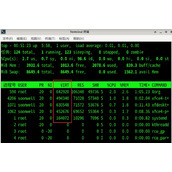 Debian11怎么查看虚拟内存使用情况? 查看进程占用虚拟内存技巧