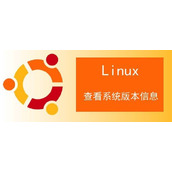 ubuntu系统怎么查看版本? Linux查看系统版本信息的技巧