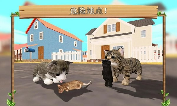 猫生活模拟器图片2