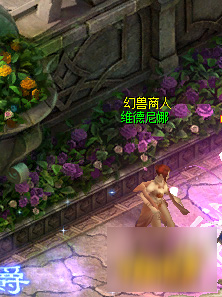 魔域手游图片13