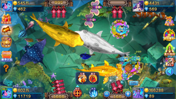 小玛丽捕鱼图片