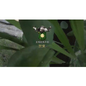 天国拯救2禁果支线任务完成方法分享