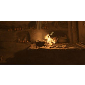 天国拯救2食物中毒解决方法分享