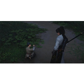 燕云十六声元生聊天对话攻略分享