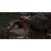 天国拯救2药草获取方法攻略分享