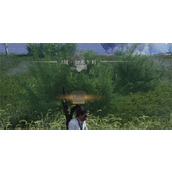 燕云十六声醒愁玉桂枝收集方法分享