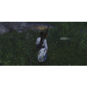 燕云十六声匕见将军收集方法分享