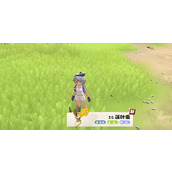 洛克王国世界蓬叶虫怎么捕捉