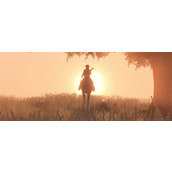 荒野大镖客救赎一心多用成就解锁攻略