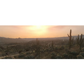 荒野大镖客救赎宝藏猎人挑战成就攻略