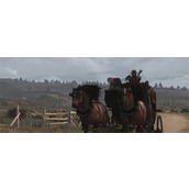 荒野大镖客救赎狩猎大师挑战成就攻略