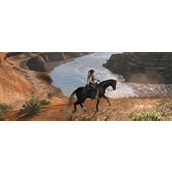 荒野大镖客救赎熊心豹胆成就解锁攻略