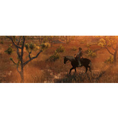 荒野大镖客救赎打遍全世界成就攻略