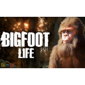 Bigfoot Life兑换码分享 Bigfoot Life最新2025兑换码一览