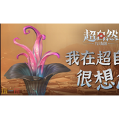 超自然行动组最新小抄分享 2025实用攻略技巧汇总