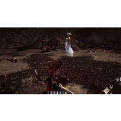 燕云十六声帷帽女打法教程