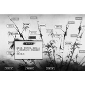 刀剑江湖路新手开局攻略及选择推荐