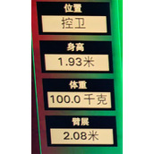 NBA 2K25韦德建模数据推荐分享