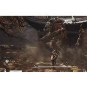 黑神话悟空毒敌大王是否击败介绍说明