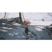 黑神话悟空摩尼珠位置及获取方法分享