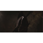 黑神话悟空耐雪枝位置及获取方法分享