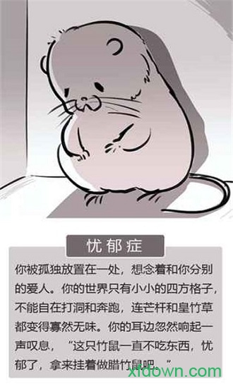 竹鼠活下去手游 竹鼠活下去游戏下载