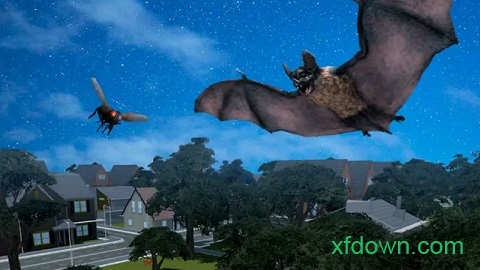 大眼蝙蝠大冒险