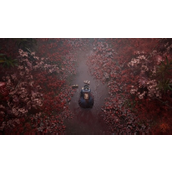 寂静岭f攻略图文攻略 寂静岭f全流程全收集图解攻略大全