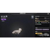 荒原曙光哪些战宠强度高 强力战宠推荐