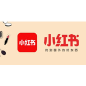 小红书官网电脑端访问入口-小红书网页版在线直达链接