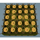 编程农场1分钟内收获200万黄金攻略