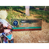 幻兽帕鲁蛋糕不足怎么办 蛋糕放置方法