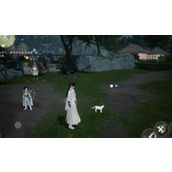 射雕纯白色猫位置一览 纯白色猫在哪