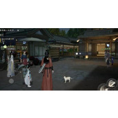 射雕白色小猫在哪 白色小猫位置分享