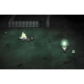 饥荒高脚鸟蛋如何孵化