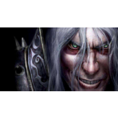 魔兽争霸秘籍代码全集-魔兽争霸无限金币木材秘籍全解