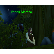 魔兽世界乌龟服耻辱称号解锁方法 耻辱称号怎么解锁