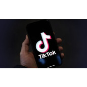 tiktok国际版下载入口色板渠道-tiktok国际版2026最新官网通道