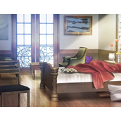 傲慢的怪兽公主与名侦探使魔攻略大全 全CG通关指南