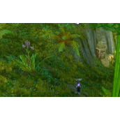 魔兽世界乌龟服祖格蝙蝠捕捉流程攻略