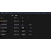 致命公司汉化补丁分享 汉化补丁使用教学